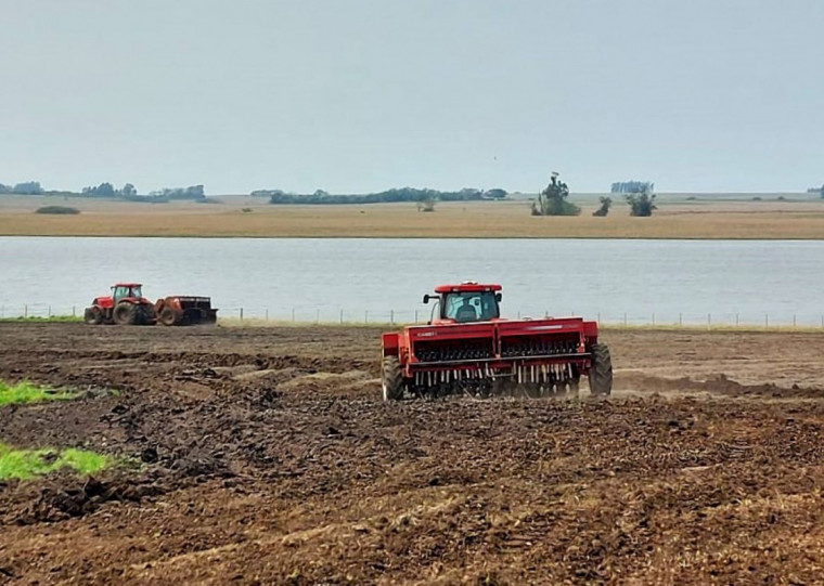 Fronteira Oeste já plantou 26,6% dos 281,5 mil hectares previstos pelos produtores