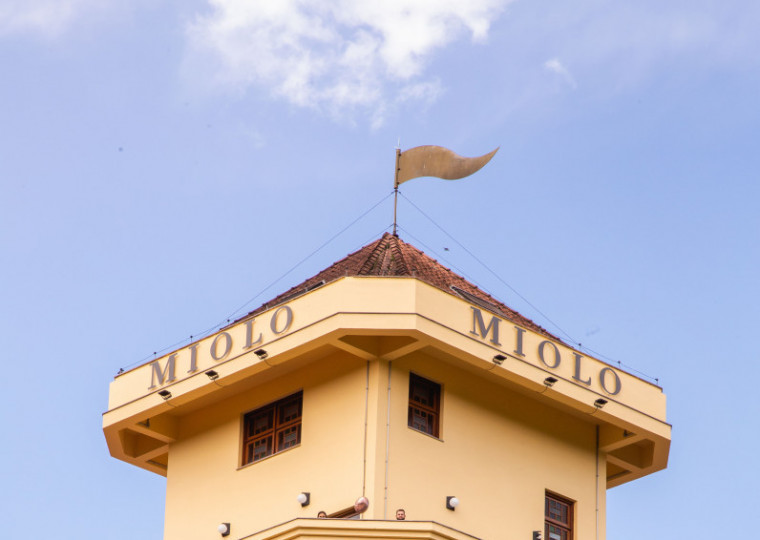 Torre amarela se destaca entre os parreirais na Vinícola Miolo