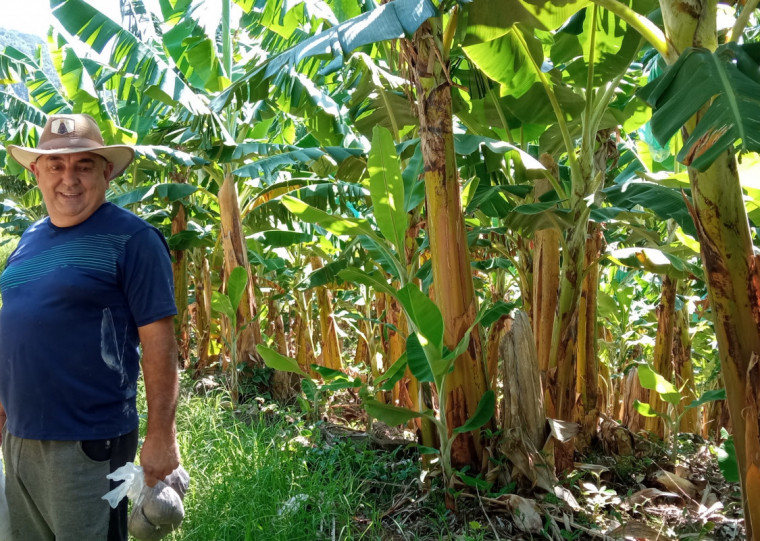 Paulo Marques diz que há potencial para melhorar a produtividade, mas alerta que o que falta é investimento