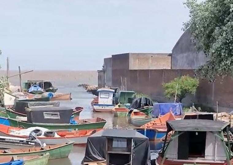 Pesca e coleta de camarão enfrentam dificuldades. 