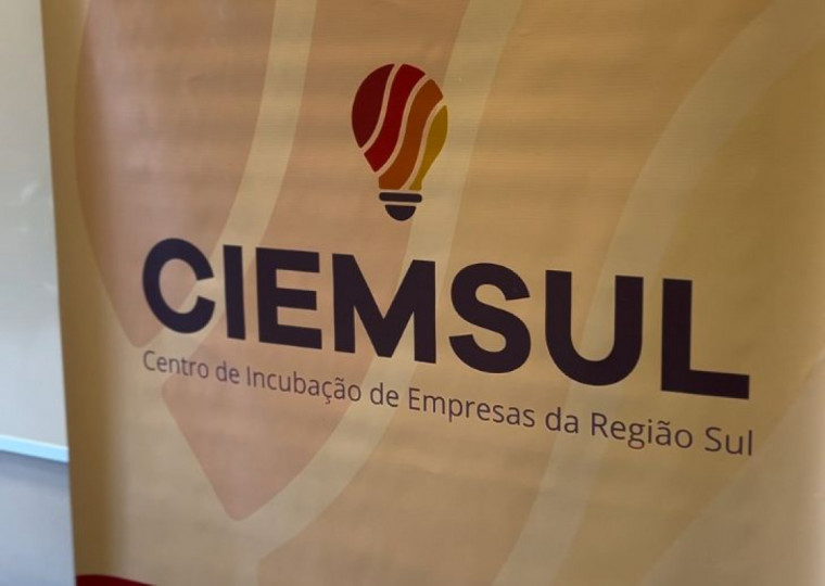 Ciemsul foi fundado em 2000 e busca proporcionar aos empreendedores recursos como infraestrutura, mentoria especializada e oportunidades de desenvolvimento tecnológico