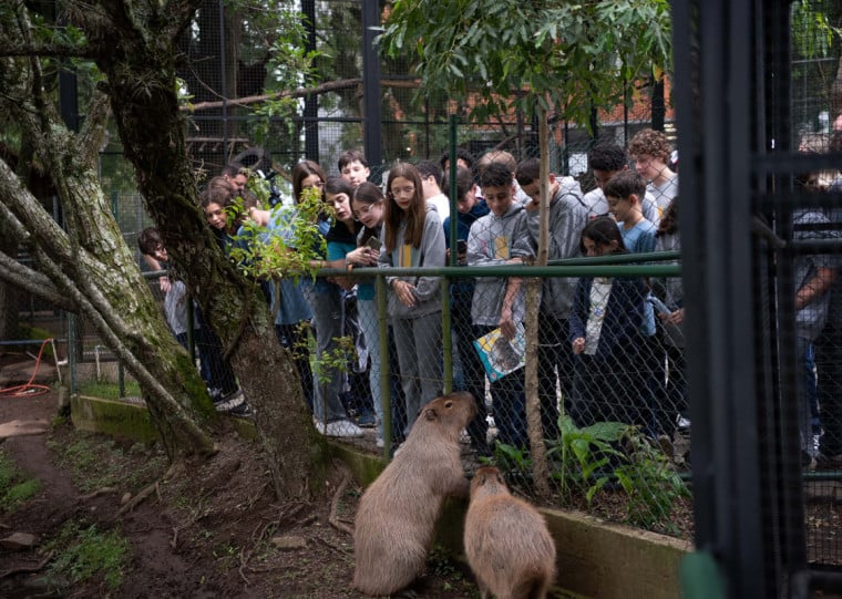 Nos 27 anos de existência do zoo, mais de 1,5 mil animais foram devolvidos ao seu habitat